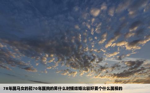 78年属马女的和70年属狗的男什么时候结婚比较好要个什么属相的