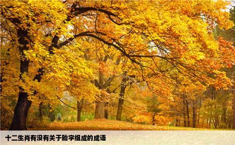 十二生肖有没有关于胎字组成的成语
