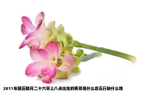 2011年阴历腊月二十六早上八点出生的男孩是什么命五行缺什么姓