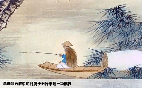 单选题五脏中的肝属于五行中哪一项属性