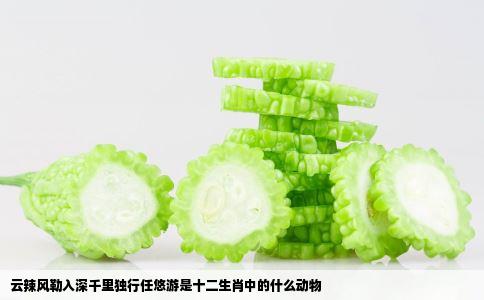 云辣风勒入深千里独行任悠游是十二生肖中的什么动物