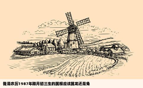 我是农历1987年腊月初三生的属相应该属龙还是兔