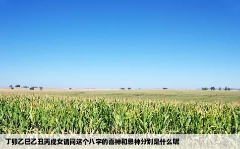 丁卯乙巳乙丑丙戌女请问这个八字的喜神和忌神分别是什么呢