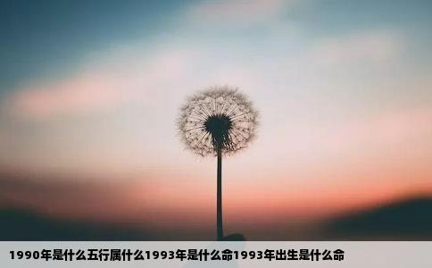 1990年是什么五行属什么1993年是什么命1993年出生是什么命