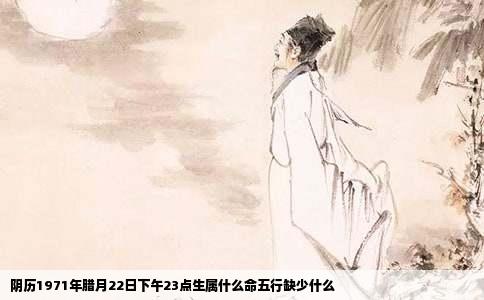 阴历1971年腊月22日下午23点生属什么命五行缺少什么