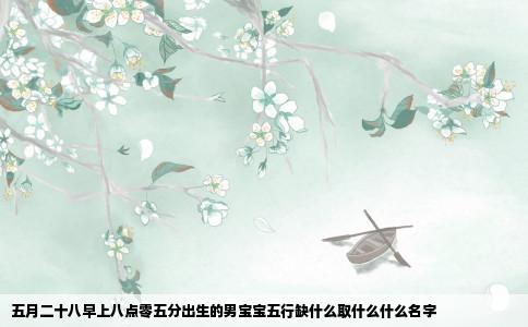 五月二十八早上八点零五分出生的男宝宝五行缺什么取什么什么名字