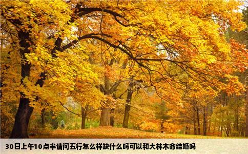 30日上午10点半请问五行怎么样缺什么吗可以和大林木命结婚吗