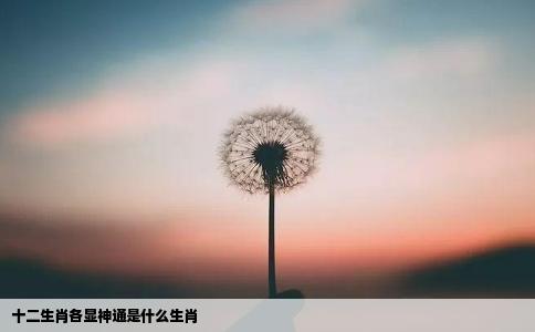 十二生肖各显神通是什么生肖