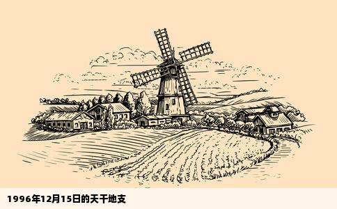 1996年12月15日的天干地支