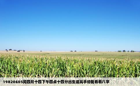 19820605闰四月十四下午四点十四分出生请高手给我看看八字