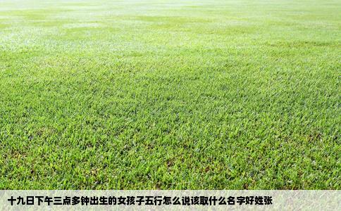 十九日下午三点多钟出生的女孩子五行怎么说该取什么名字好姓张