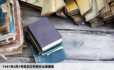 1987年2月3号是五行中的什么命谢谢