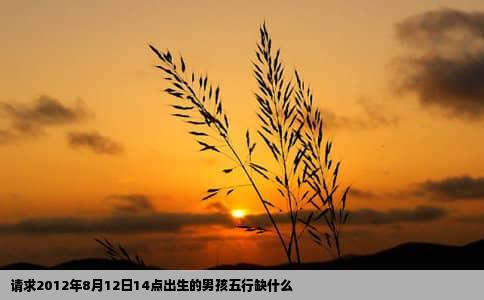 请求2012年8月12日14点出生的男孩五行缺什么