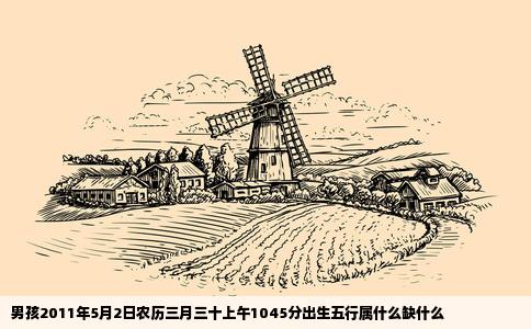男孩2011年5月2日农历三月三十上午1045分出生五行属什么缺什么