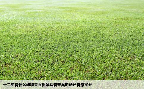 十二生肖什么动物会互相争斗有答案的话还有悬赏分
