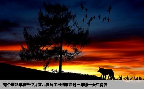 有个难题求教各位我女儿农历生日到底是哪一年哪一天生肖属