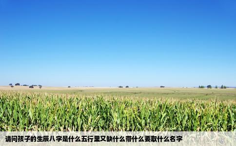 请问孩子的生辰八字是什么五行里又缺什么带什么要取什么名字