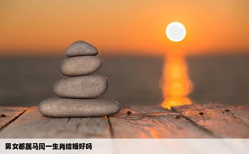 男女都属马同一生肖结婚好吗