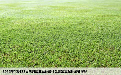 2012年12月22日未时出生五行是什么男宝宝起什么名字好