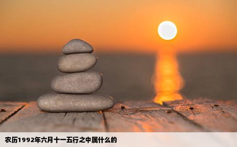 农历1992年六月十一五行之中属什么的