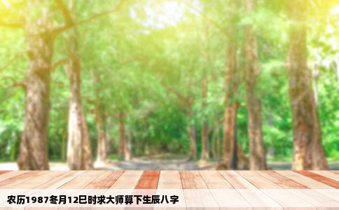 农历1987冬月12巳时求大师算下生辰八字