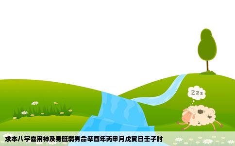 求本八字喜用神及身旺弱男命辛酉年丙申月戊寅日壬子时