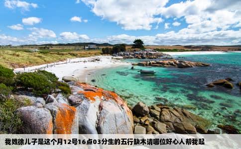 我姓徐儿子是这个月12号16点03分生的五行缺木请哪位好心人帮我起