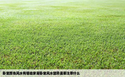 卧室颜色风水有哪些家居卧室风水禁忌需要注意什么