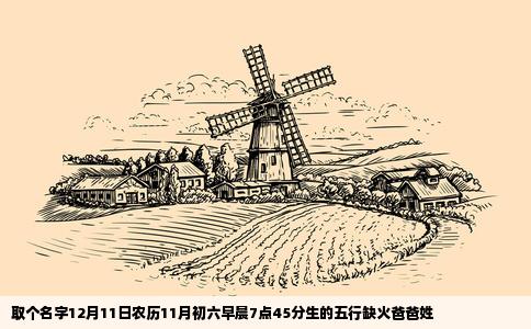 取个名字12月11日农历11月初六早晨7点45分生的五行缺火爸爸姓
