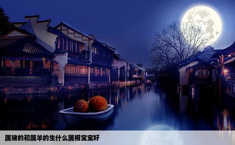 属猪的和属羊的生什么属相宝宝好