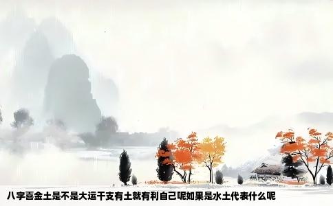 八字喜金土是不是大运干支有土就有利自己呢如果是水土代表什么呢