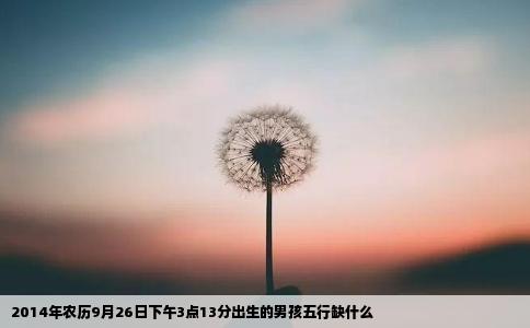 2014年农历9月26日下午3点13分出生的男孩五行缺什么