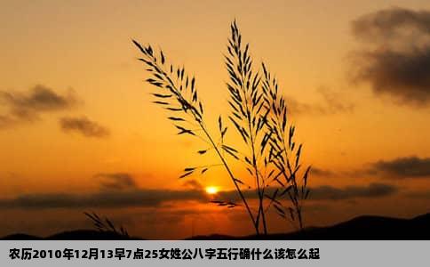 农历2010年12月13早7点25女姓公八字五行确什么该怎么起