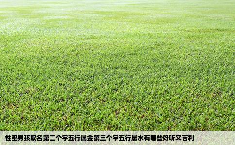 性巫男孩取名第二个字五行属金第三个字五行属水有哪些好听又吉利