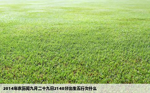 2014年农历闰九月二十九日2140分出生五行欠什么
