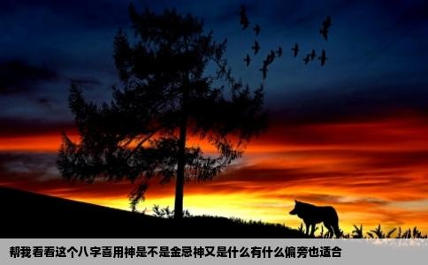 帮我看看这个八字喜用神是不是金忌神又是什么有什么偏旁也适合