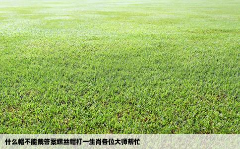 什么帽不能戴答案螺丝帽打一生肖各位大师帮忙