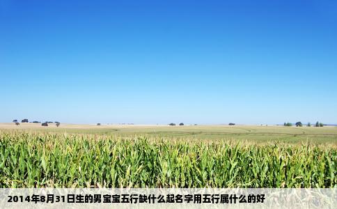 2014年8月31日生的男宝宝五行缺什么起名字用五行属什么的好