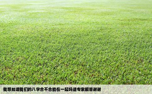 我想知道我们的八字合不合能在一起吗请专家解答谢谢