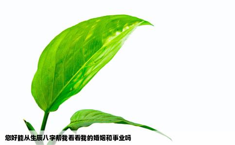 您好能从生辰八字帮我看看我的婚姻和事业吗