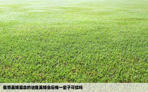 我想离婚算命的说我离婚会后悔一辈子可信吗