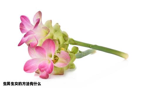 生男生女的方法有什么