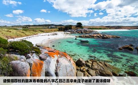 请懂得四柱的朋友看看我的八字乙丑己丑辛未戊子谢谢了要详细呀