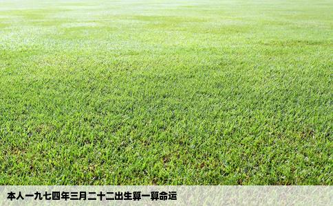 本人一九七四年三月二十二出生算一算命运