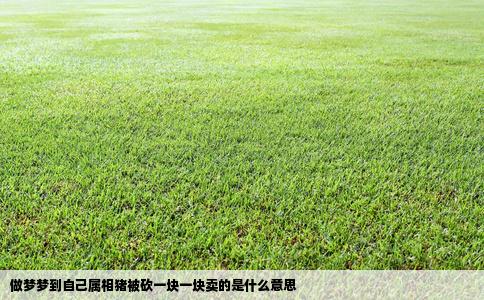 做梦梦到自己属相猪被砍一块一块卖的是什么意思