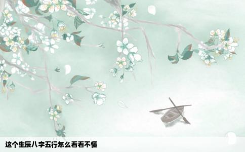 这个生辰八字五行怎么看看不懂