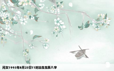 问女1993年8月23日11时出生生辰八字