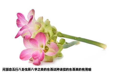 问算命五行八卦生辰八字之类的东西这种迷信的东西真的有用嘛