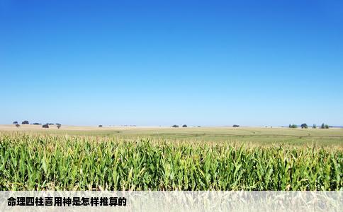 命理四柱喜用神是怎样推算的