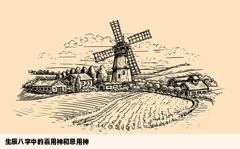 生辰八字中的喜用神和忌用神